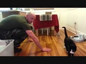 Parody video shows when soldiers return home, their cats could care less