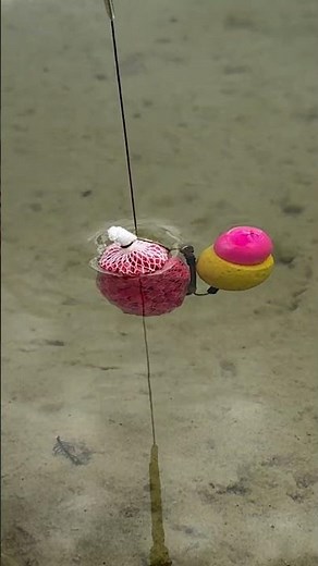 Karpfenangeln im FRÜHJAHR: Mit PVA-Sticks zum Erfolg! 🌸🎣
