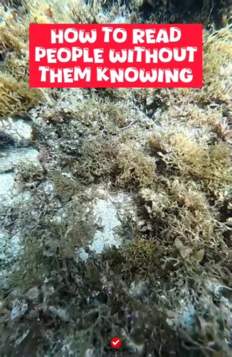 How to read people without them knowing | Checklist Studio