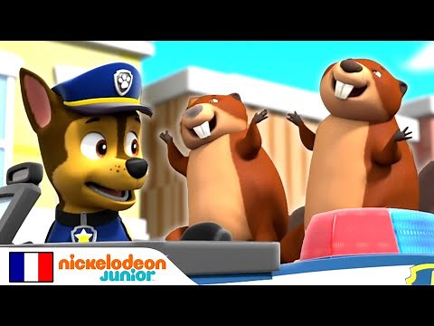 Paw Patrol : La Pat' Patrouille | Des castors en danger | Nick Jr.