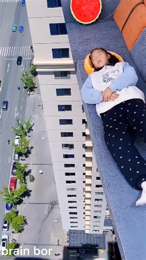 Dog Training Tips for Success