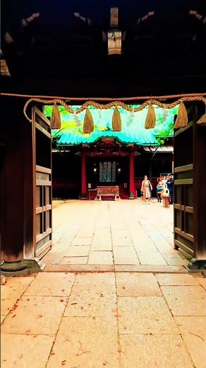 The Shogun’s Sanctuary: Ancient Forest and Timeless Grace at Akasaka Hikawa / 摩天楼の杜に息づく、将軍の記憶。赤坂氷川神社