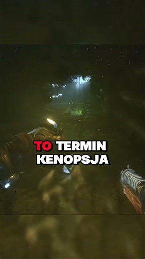 Dlaczego PUSTE GRY są tak przerażające? 🤔 #shorts