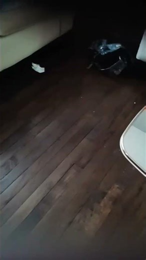 longest loop 30 years