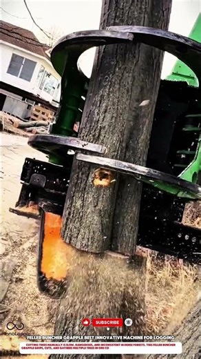 Feller Buncher Grapple Best Innovative Machine For Logging #innovative #machine