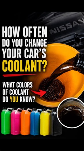 So many people talk about replacing engine oil, transmission fluid, and brake fluid…