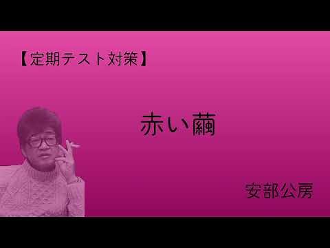 [Preparation for regular tests] Red Cocoon by Kobo Abe