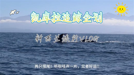 新西兰旅行之凯库拉