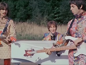 290K views · 29K reactions | I AM THE WALRUS.  Listen in Spatial...