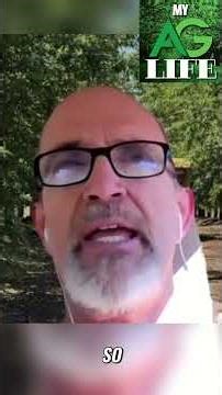 Pyrethroids & Naval Orange Worm Control: Insecticide Impact