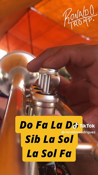 El Son De El Pajarito para Trompeta: Tutorial Completo