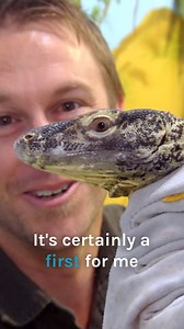 79K views · 2.3K reactions | What would you name these 2 endangered baby Komodo Dragons?  #wildlife #komodo #untamed | Untamed | Facebook