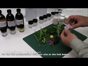 Paraffin Wax Processing and Section Cutting DVD Preview