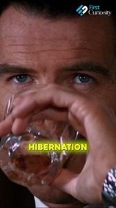 Sean Bean Almost Became James Bond