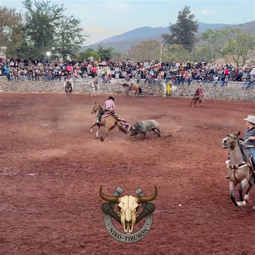 What a phenomenal way to outsmart the situation!