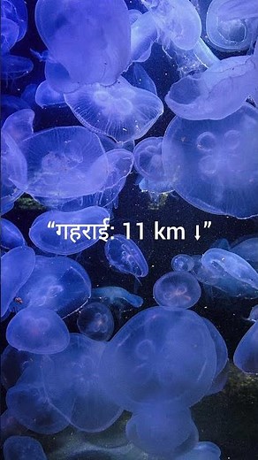 Pacific Ocean: The Largest & Deepest Ocean on Earth 🌊 | Amazing Facts”