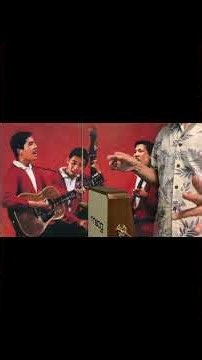 【Theremin/テルミン】ザ・ブロードサイド・フォー : 若者たち #thebroadsidefour #wakamonotachi