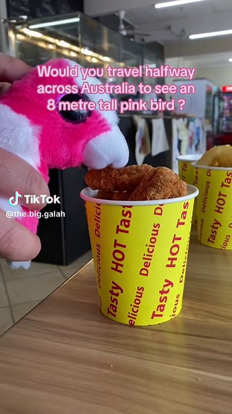 The Big Galah in Kimba SA: An Unmissable Visit!