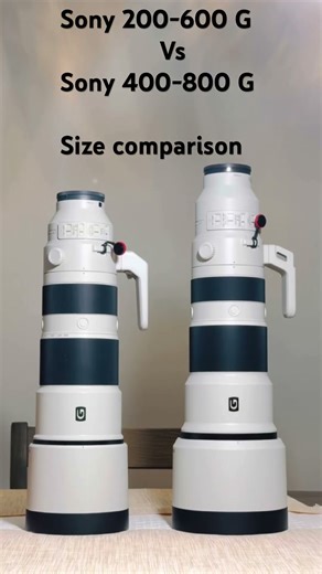 Sony 200-600 vs 400-800 Size comparison #photography #sony #telephoto