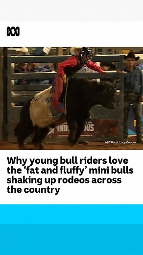 2.3K views · 96 reactions | You’ve heard of Wombat Wednesday, but...