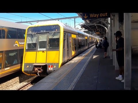 Lidcombe Trainspotting 3
