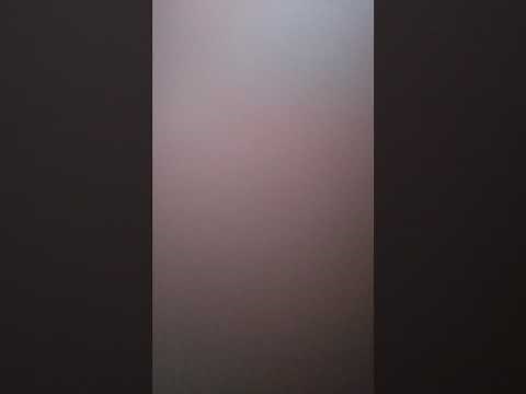 紅白歌合戦 ビートたけし あのくじらやで