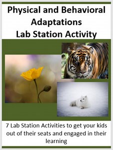 Physical and Behavioral Adaptations Lab Station Activity | 7 Hands-on Activities