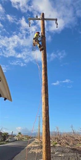 Framing poles in black River | Fiveroots