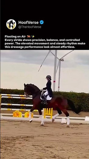 Pure Dressage Precision 🐎✨ #shorts