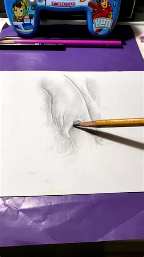 Master Pencil Drawing Techniques in This Tutorial