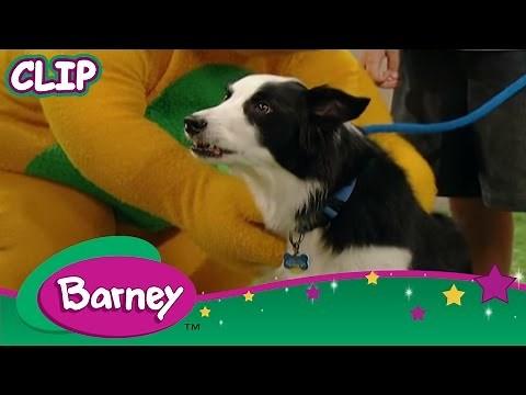 Barney - Taking Care of a Pet
