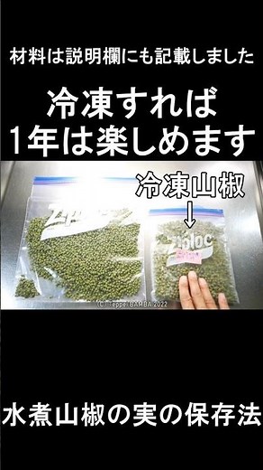 山椒の実の水煮の冷凍保存方法 #チャック式袋 #さんしょう #山菜
