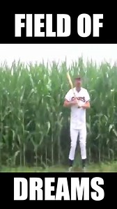 503K views · 10K reactions | Sometimes when I'm bored I'll put a baseball uniform on and walk out of corn fields. #fieldofdreams | Mabe In America | Facebook