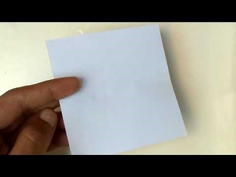 How to make litmus paper using turmeric
