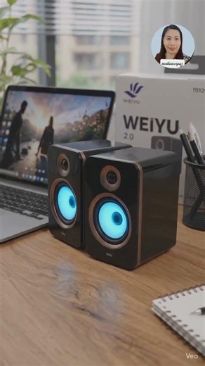 Portable Speakers For Laptop, Desktop and TV