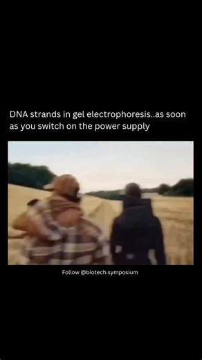 Saksham Bhatia on Instagram: "😂🧬🕊️🧬 Movement of DNA in Gel Electrophoresis When the 🔌 power supply is switched on, an electric field is created across the gel tank. Since DNA carries a negative charge (because of its phosphate backbone), it is repelled by the cathode (−) and attracted toward the anode (+). 👉 Therefore, DNA always moves from the negative end to the positive end. The agarose gel acts like a 🧩 molecular sieve, allowing smaller fragments to move more easily while slowing down
