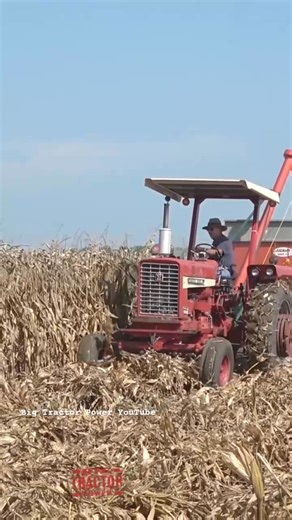 3.2K views · 99 reactions | INTERNATIONAL Farmall 656 Tractor Harvesting Corn #agriculture #farm #farmer #farmlife #caseih #bigtractorpower | Big Tractor Power | Facebook
