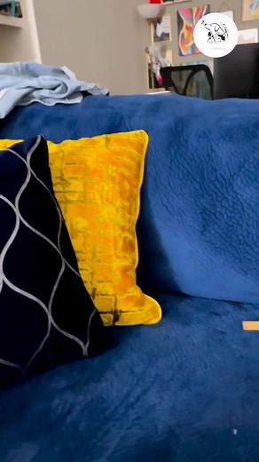 241K views · 14K reactions | Cute Yorkshire Terrier Puppies #yorkshire #yorkshireterrier #yorkshireterriersofinstagram #yorkie #yorkielove #funny | I Love Yorkshire Terrier | Facebook