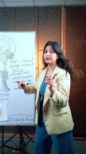 Shilajit & Testosterone: Science Explained | Dr Sonali