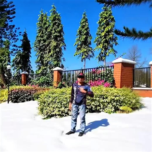 Delicious Malunggay Pandesal Recipe