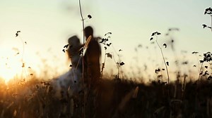 Wedding Bride Groom  Walk Stock Footage SBV-304687372 - Storyblocks