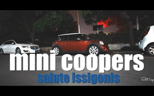 十来万的mini coopers / N18