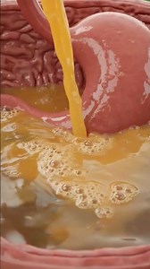 The journey of orange juice inside your body #healthhack #healthtips #juice