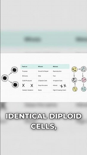 Mitosis vs. Meiosis: Key Differences REVEALED!