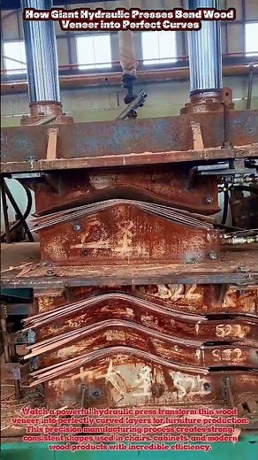 How Giant Hydraulic Presses Bend Wood Veneer into Perfect Curves #woodworking #carpentry