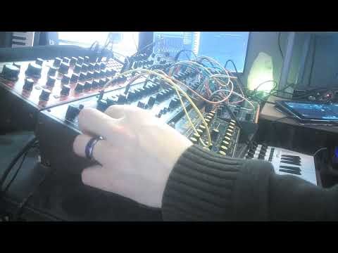 122420251 Crave to Pro-1 VCA to Gate Input Jam with Kobol Expander and Wasp Deluxe