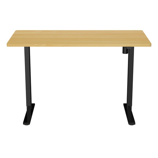 Buy the Loctek Ergonomic Eco Office Standing Desk - 1600x800x25mm - Single... ( ET114G(IB)-1600-OB ) online