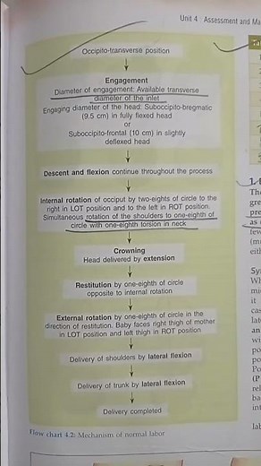 Mechanism of normal Labor