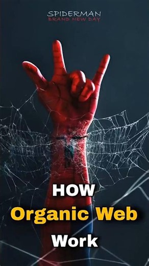 How Spidey Organic Web Works 🤔