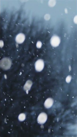 Snowfall Calm with Music ❄️ Instant Relaxation